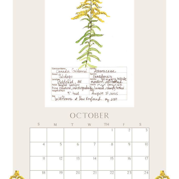 Rebekah Lowell Creative Studio - Wholesale Calendar - 2026 Wildflower Wall Calendar10