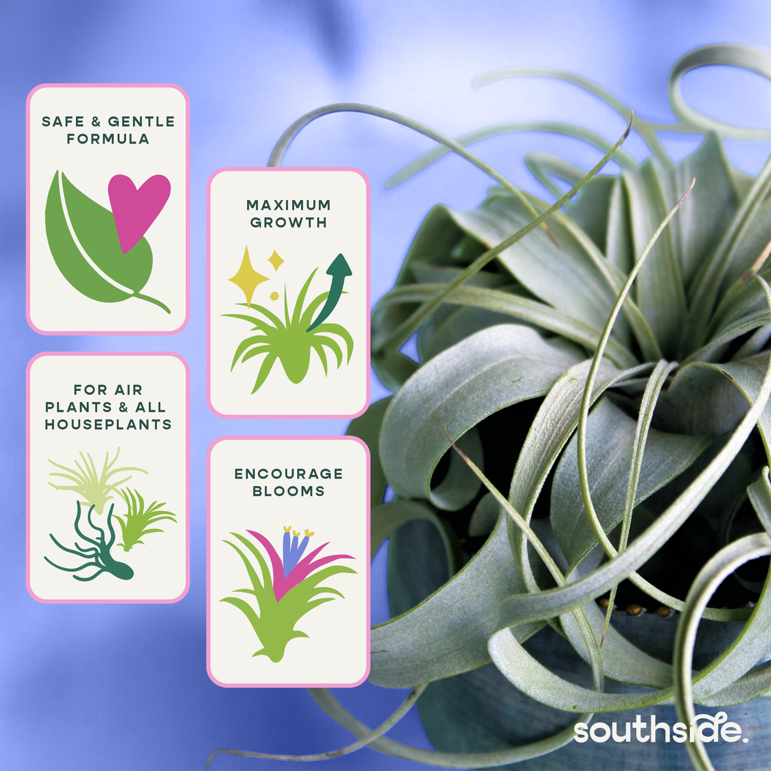 Southside. - Wholesale Fertilizer - Air Plant Fertilizer - Spray and Soak6