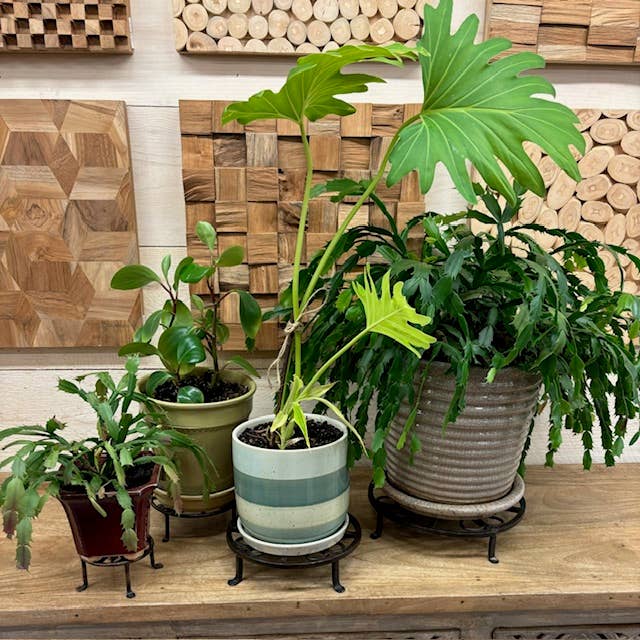 Asia West - Vendita all'ingrosso Portavasi - Supporto per piante rotondo in ferro battuto da 4»2