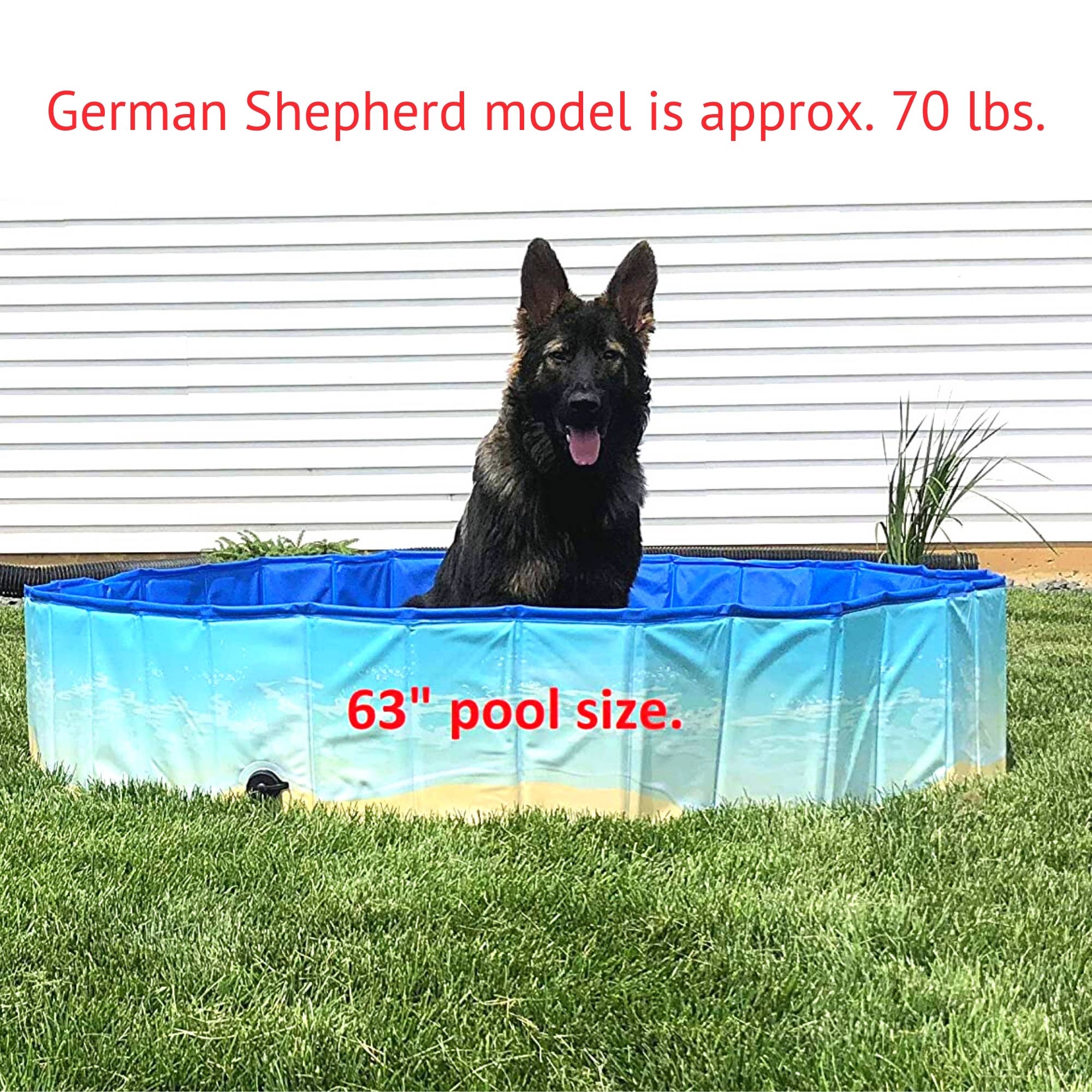Midlee Designs - Wholesale Pet Bowl - Cat/Dog - Midlee Dog Pool -Foldable & Portable Outdoor Bathing Tub6