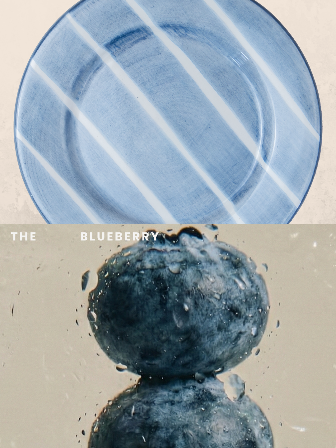 Valsa Home - Wholesale Dinner Plate - Blueberry Dinner Plate - WS3