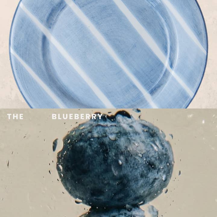 Valsa Home - Wholesale Dinner Plate - Blueberry Dinner Plate - WS3