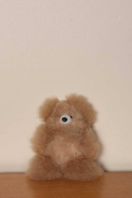 Assorted Colors Alpaca Fur Teddy Bears Stuffed Toy for wholesale on Faire2