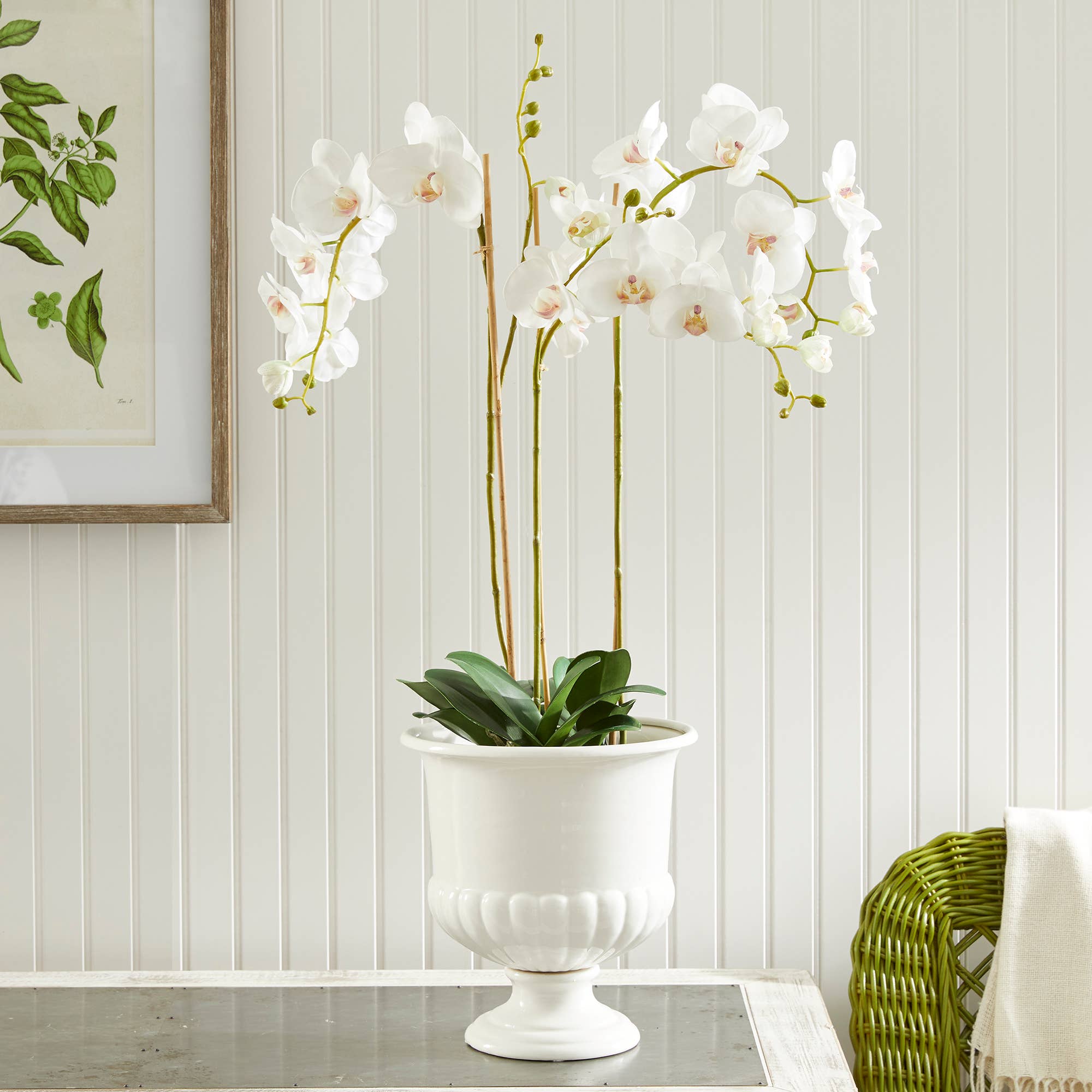 Napa Home & Garden - Vente Assiettes/plats/bols de décoration - Bol décoratif Mirabelle Small2