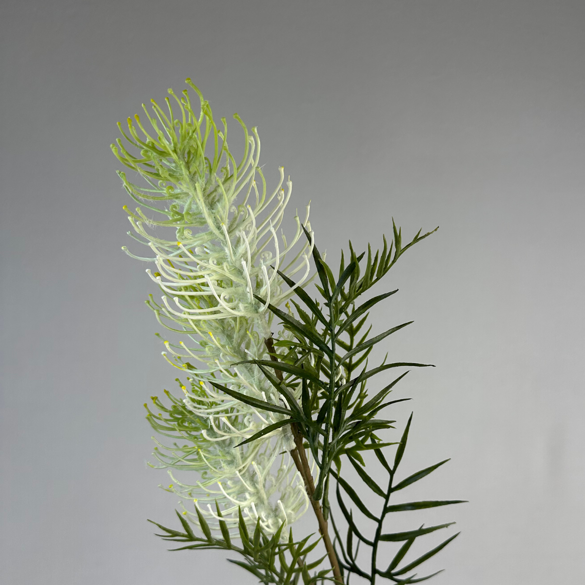 Realistic Artificial Flowers - Wholesale Artificial Flowers - Grevillea Flower Spray White - Realistic Artificial Flowers2