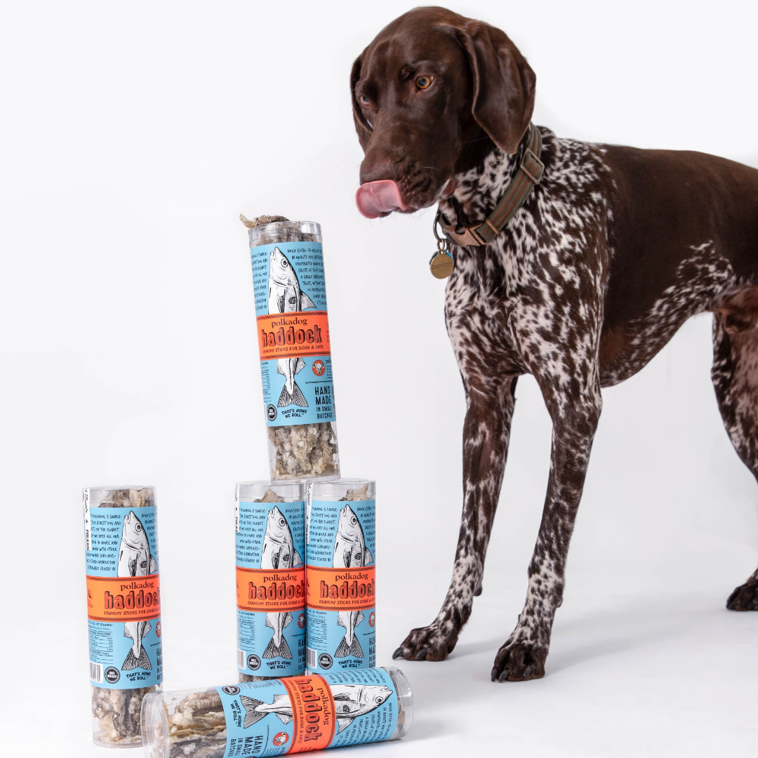 Polkadog - Wholesale Pet Treats - Dog - Haddock Skin Jerky - 2oz Tube - Dog Treats1