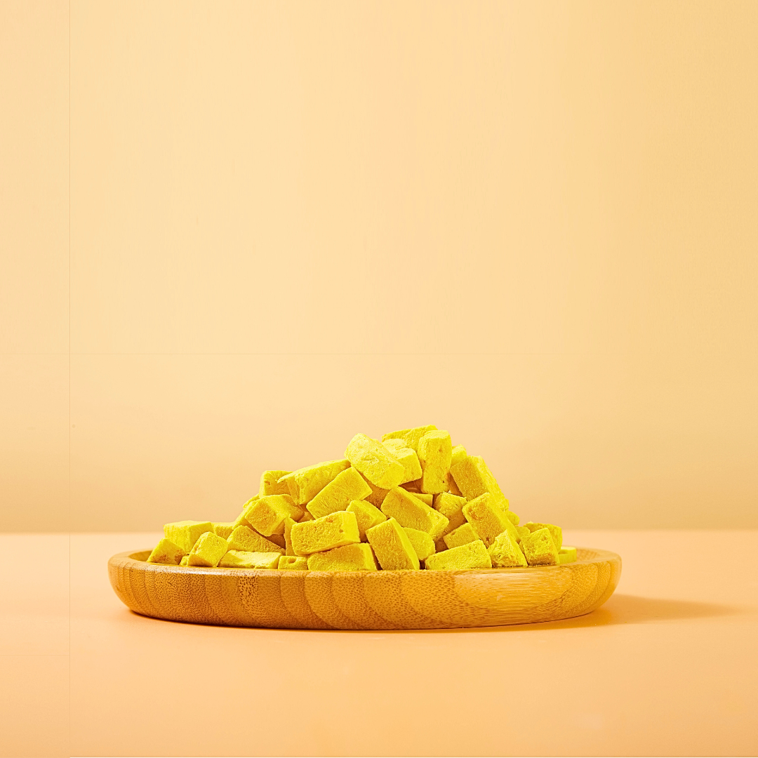 Arya Sit! - Wholesale Pet Treats - Dog - Freeze-Dried Pumpkin Yogurt1