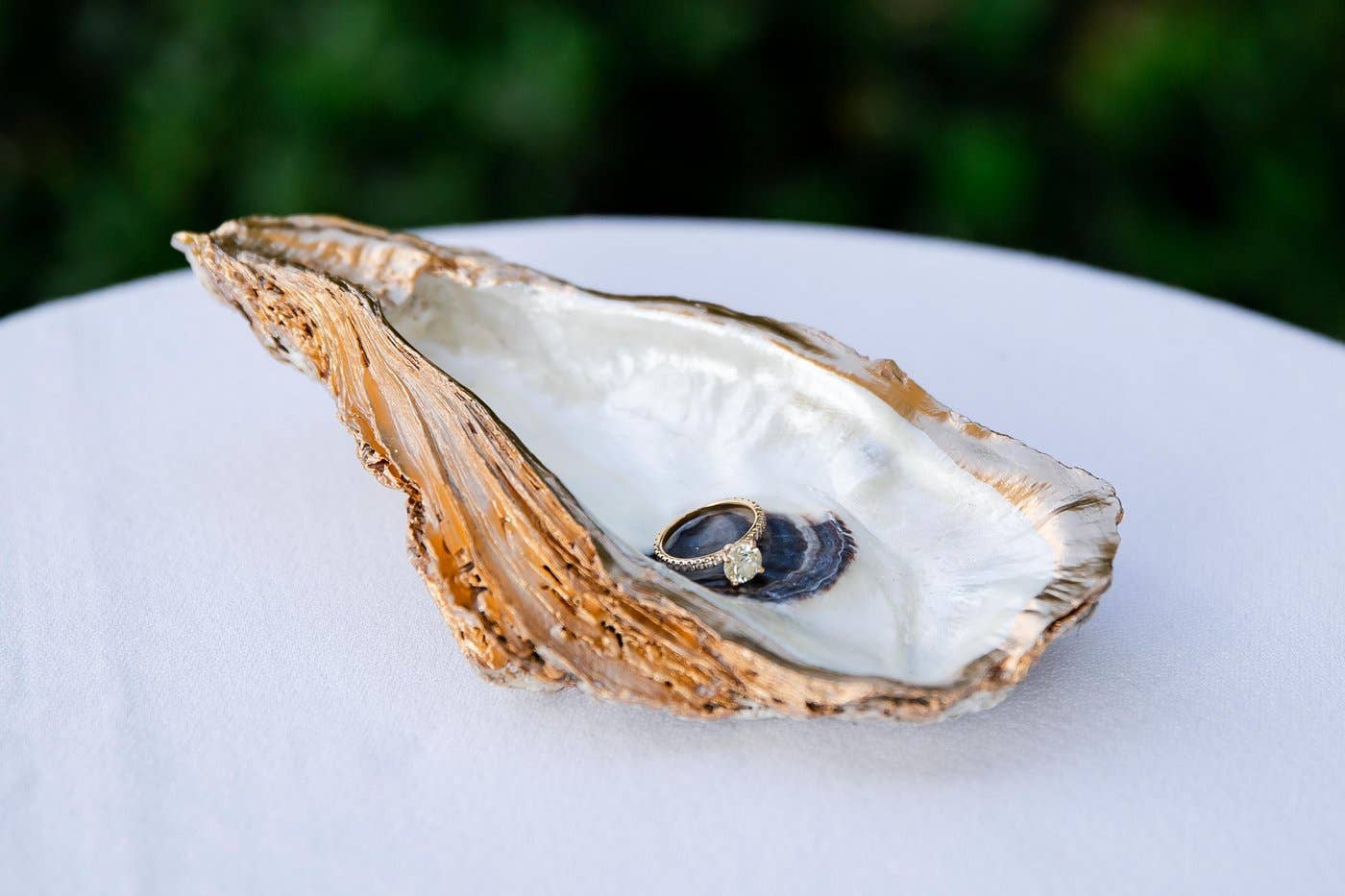 Creole Pearl Designs - Wholesale Jewelry Dish - Large Oyster Ring Dishes2