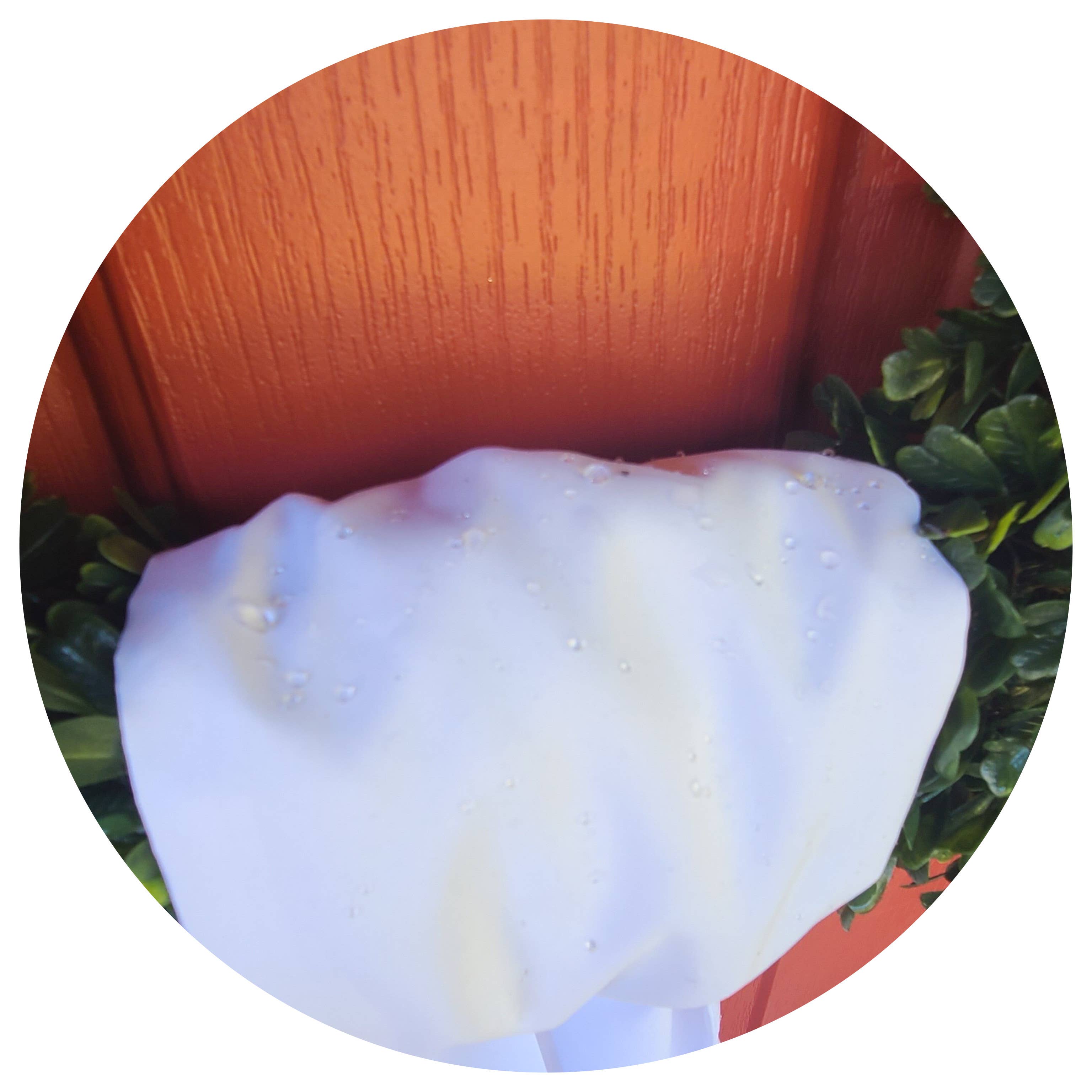 THE ROYALTY COLLECTION - Wholesale Party Favor - Weather Resistant Outdoor Sash9