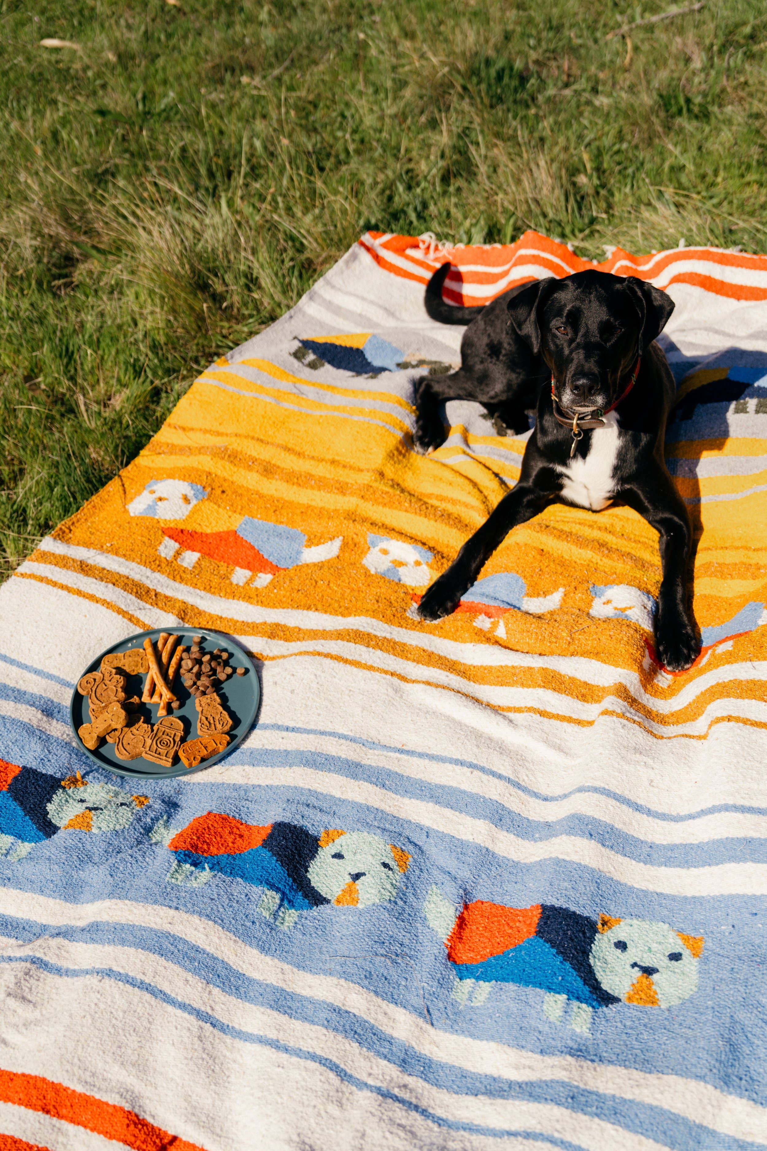 Caminito – wholesale Picnic blanket – Perro Dorado - Blanket Roll2