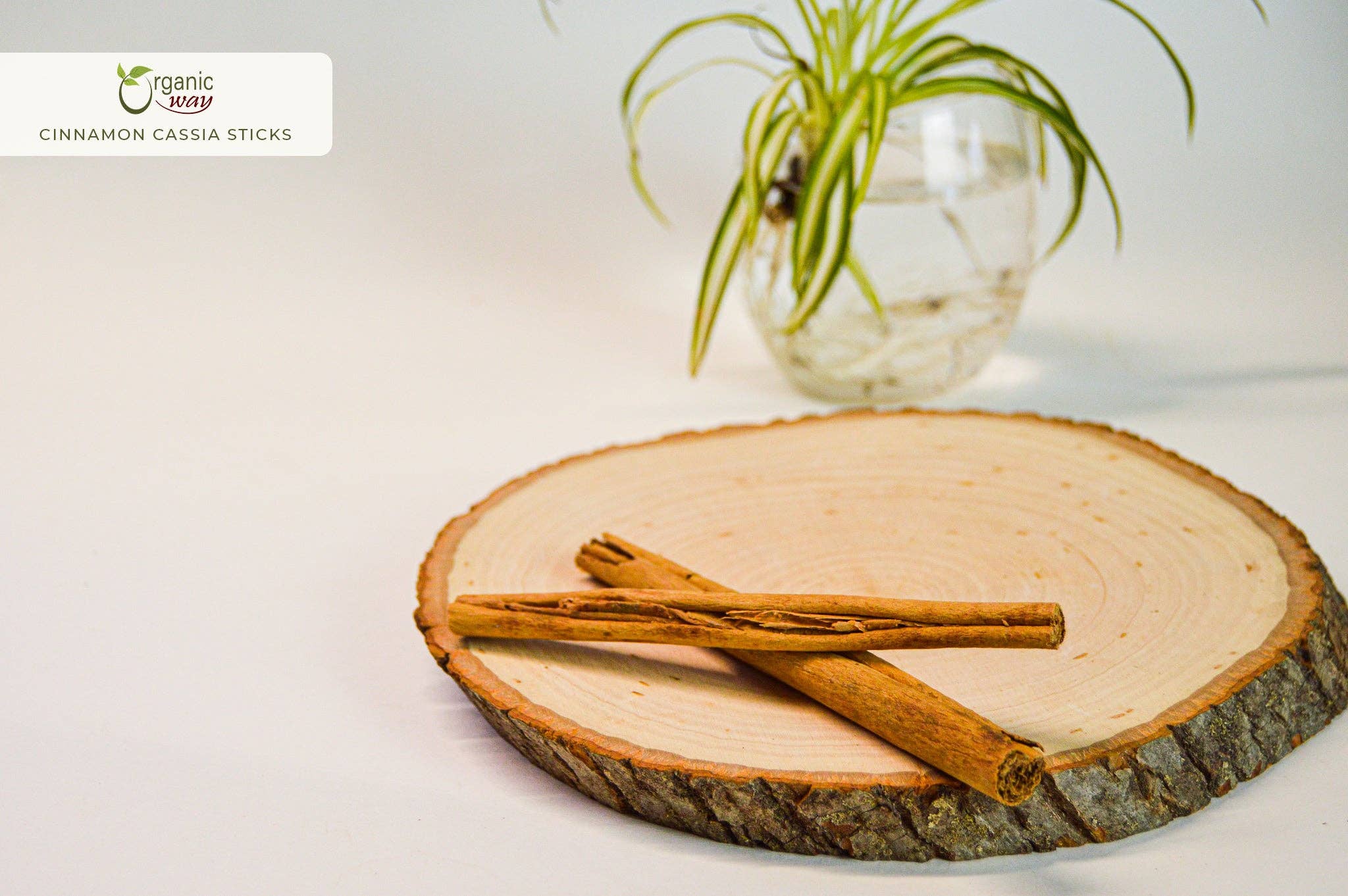 Organic Way LLC - Wholesale Herbs - Premium Cinnamon Cassia Sticks (Cinnamomum cassia) - Adds Flavour & Aroma |  Kosher Certified | Vegan | Raw, Non GMO & Gluten Free | USDA Certified | Origin - India3