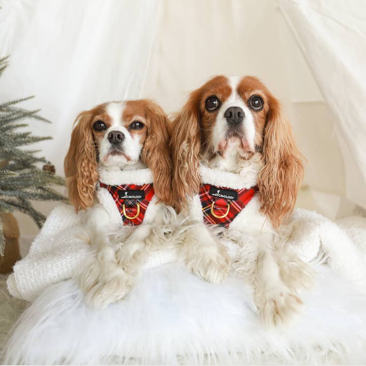 Cavology - Wholesale Pet Harness - Dog - VEST STEP IN HARNESS - Red Plaid Tartan Sherpa Winter Wonderland3