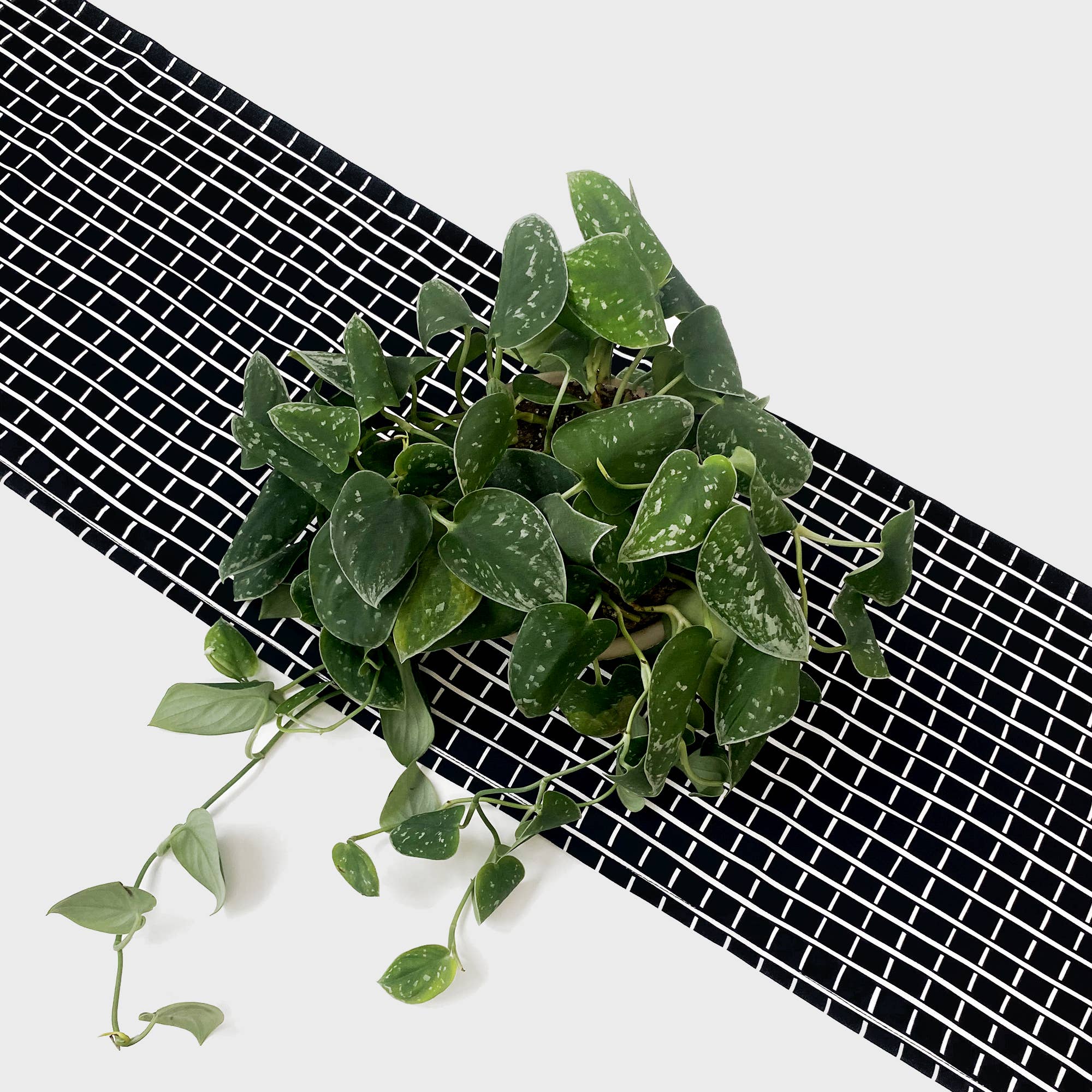 Chelsea Fay - Wholesale Table Runner - Table Runner1