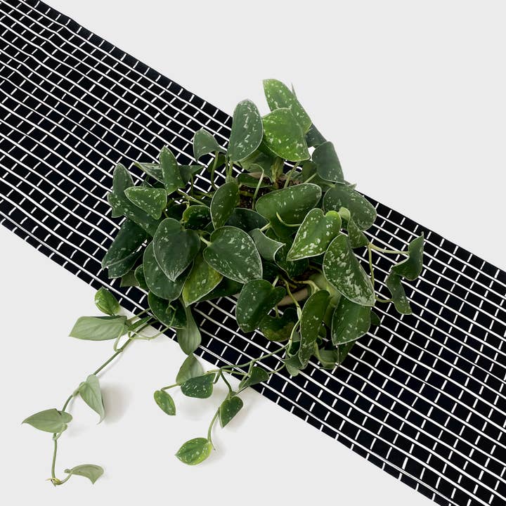 Chelsea Fay - Wholesale Table Runner - Table Runner1