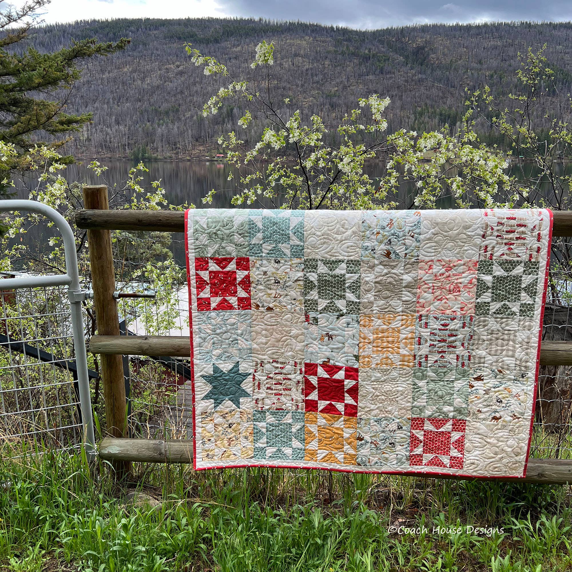 Coach House Designs - Wholesale Quilt - Picnic Quilt Pattern2