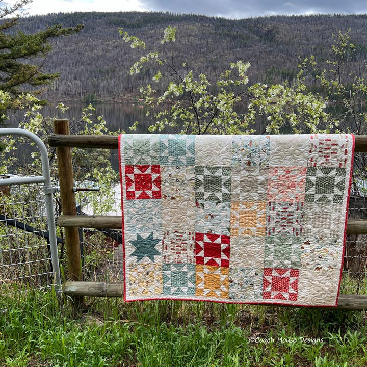 Coach House Designs - Wholesale Quilt - Picnic Quilt Pattern2