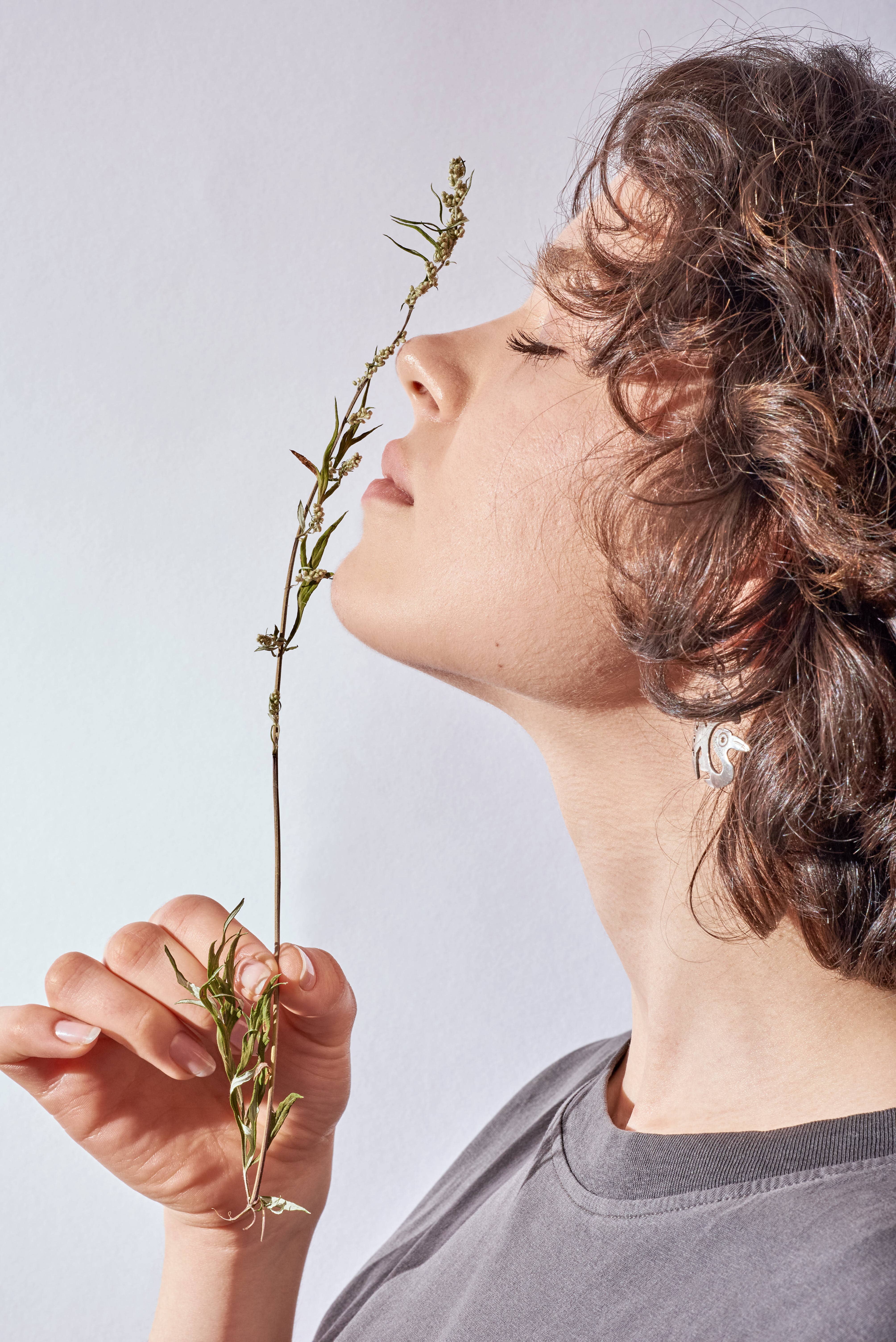 Plūkt - Wholesale Health/Detox Tea - Tea Blend White Night - calming evening herbal , relaxing13