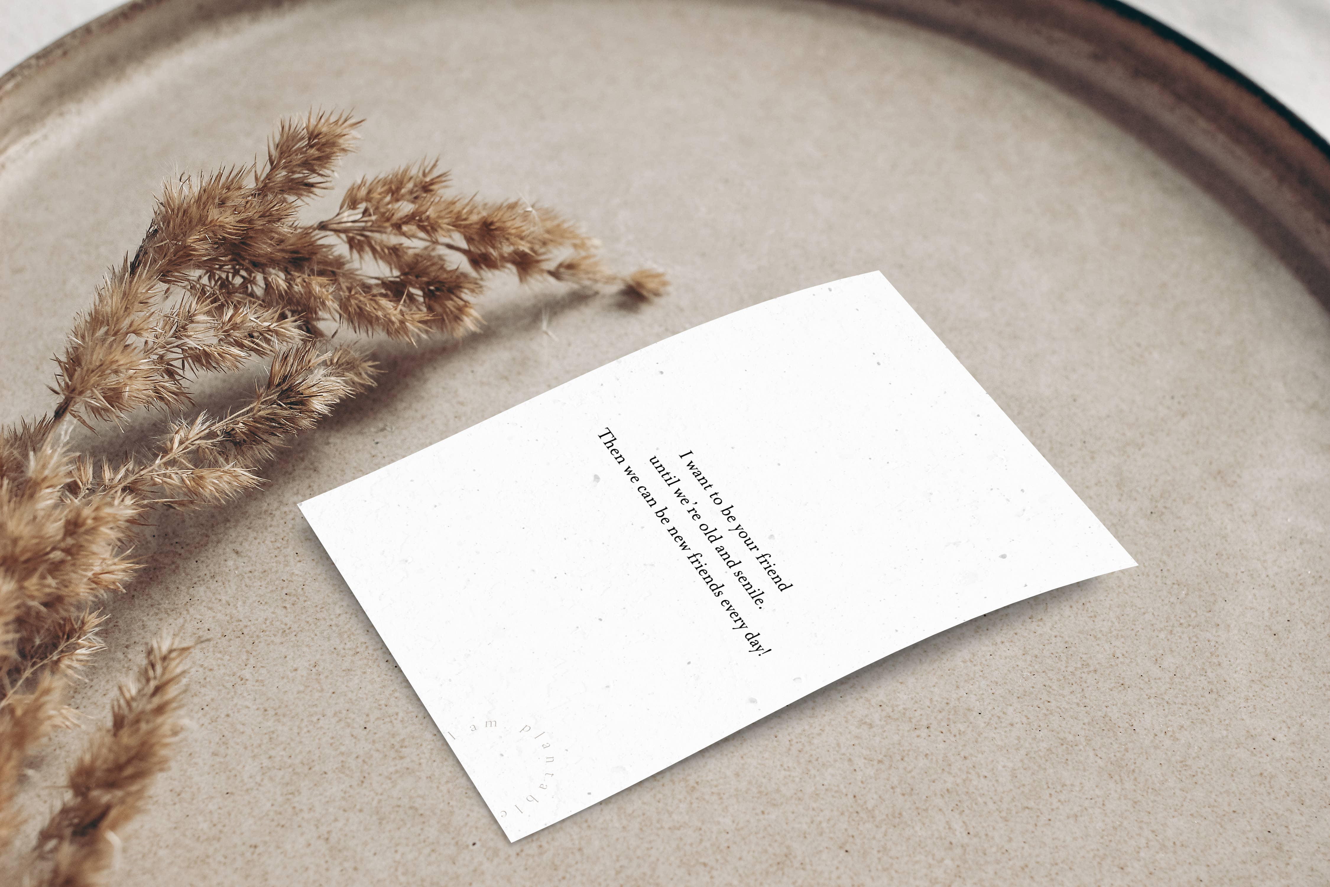 Axel & Ash - Wholesale Everyday Greeting Card - PLANTABLE Greeting Card || SENILE - 6Pack9