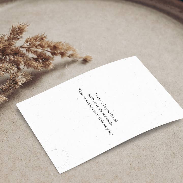 Axel & Ash - Wholesale Everyday greeting card - PLANTABLE Greeting Card || SENILE - 6Pack9