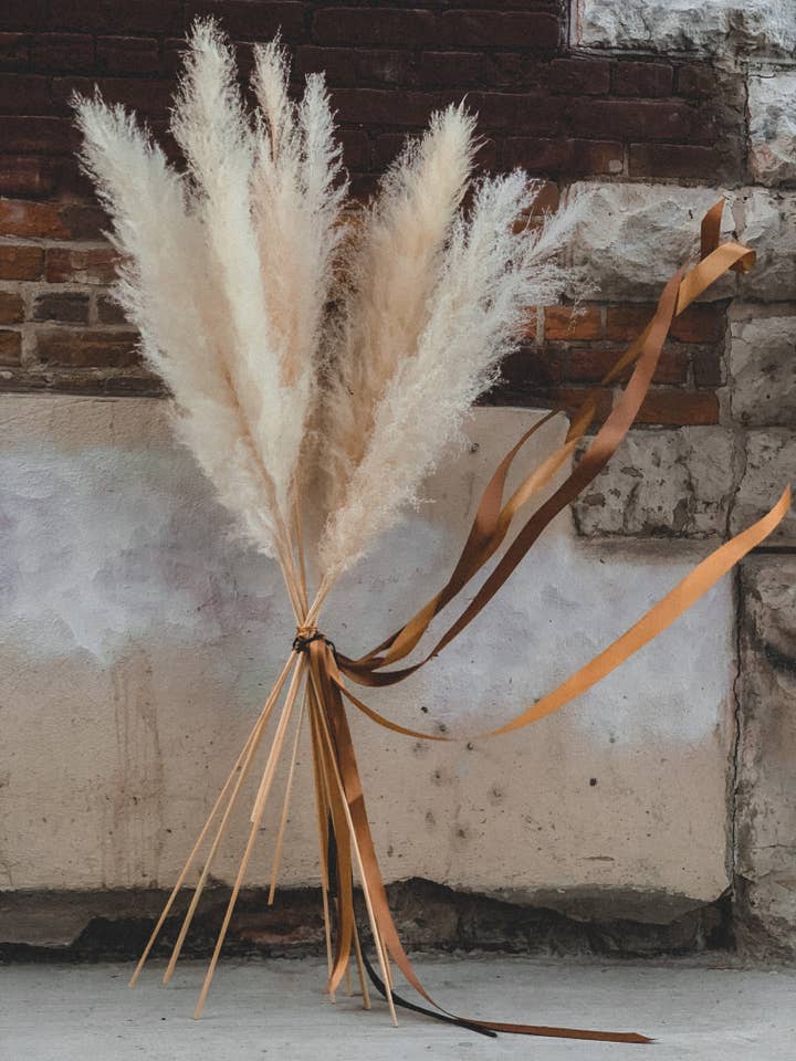 Pampas Grass - Bleached for wholesale by Fleurs Flowers