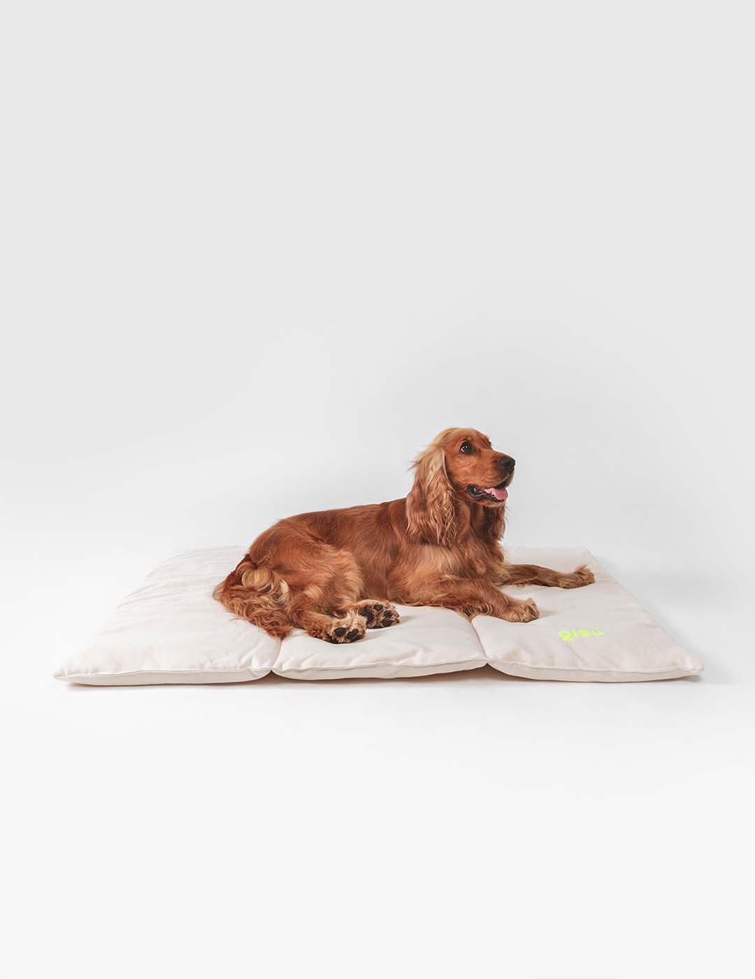 Qisu - Wholesale Pet Bed - Dog - Dog bed | Nomad Bed10