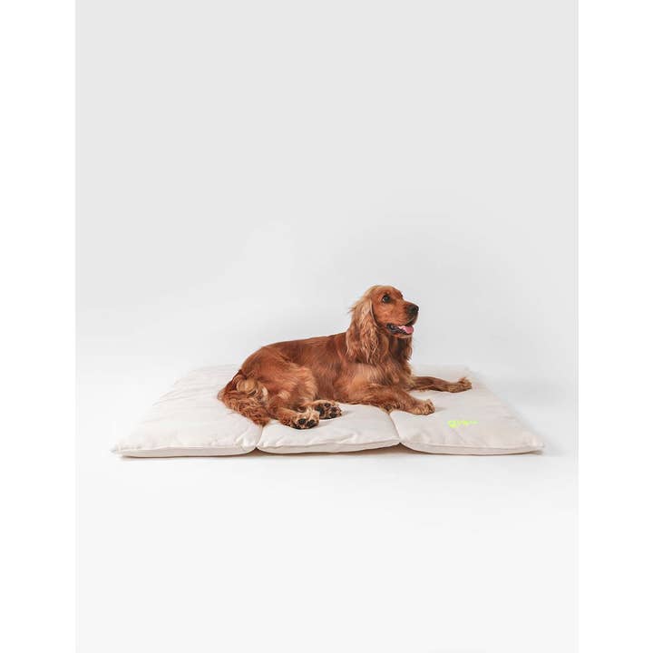 Qisu - Wholesale Pet Bed - Dog - Dog bed | Nomad Bed10