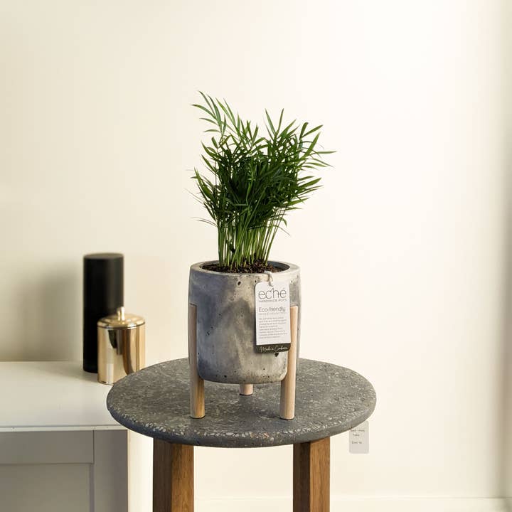 Eché pots - Wholesale Plant pot - Hemp & Coconut fibre 3-Leg Pot, Handcrafted in Australia4