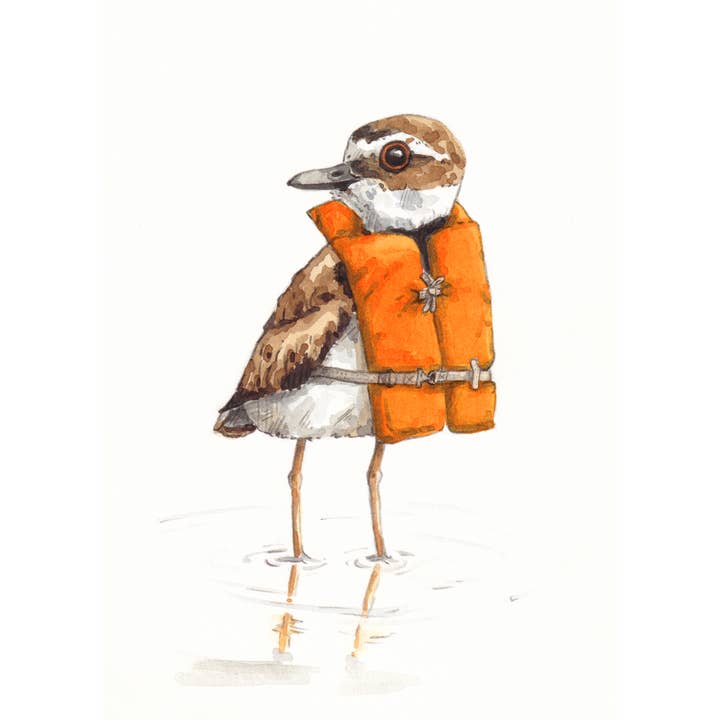 Oiseau de rivage en gilet de sauvetage pour la vente par Drew Deming Watercolors