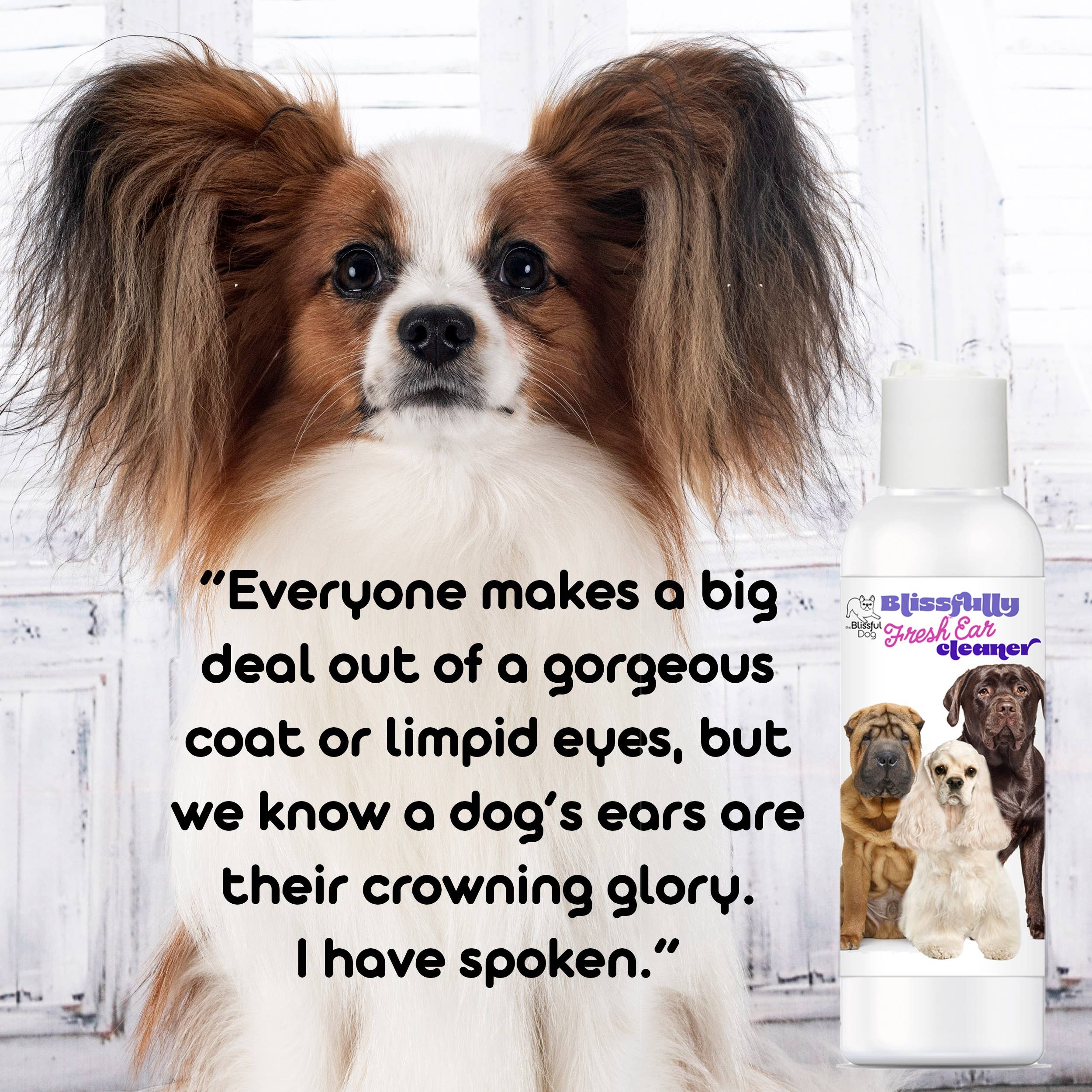 The Blissful Dog - Wholesale Pet Cleaning Supplies - Blissfully Fresh Dog Ear Cleaner in 4, 8, 16 oz7