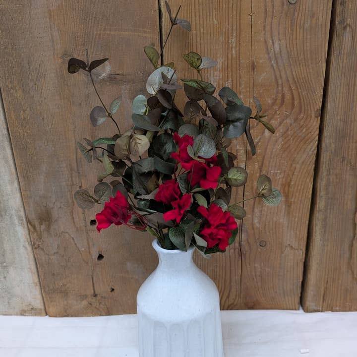 Geranio y arbusto de eucalipto para venta al por mayor de A.T. Imports