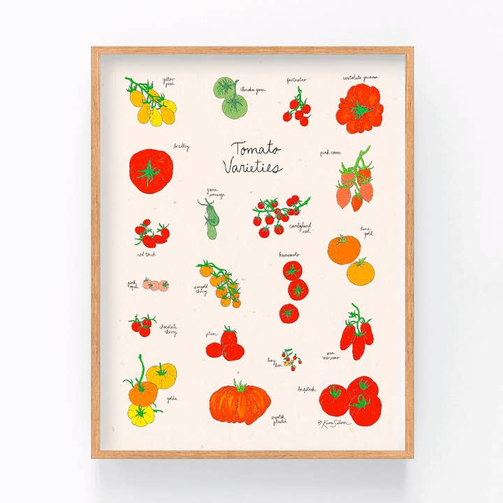 Tomato Varieties Art Print, Kaari's Kitchen Collection for wholesale by Kaari & Co.