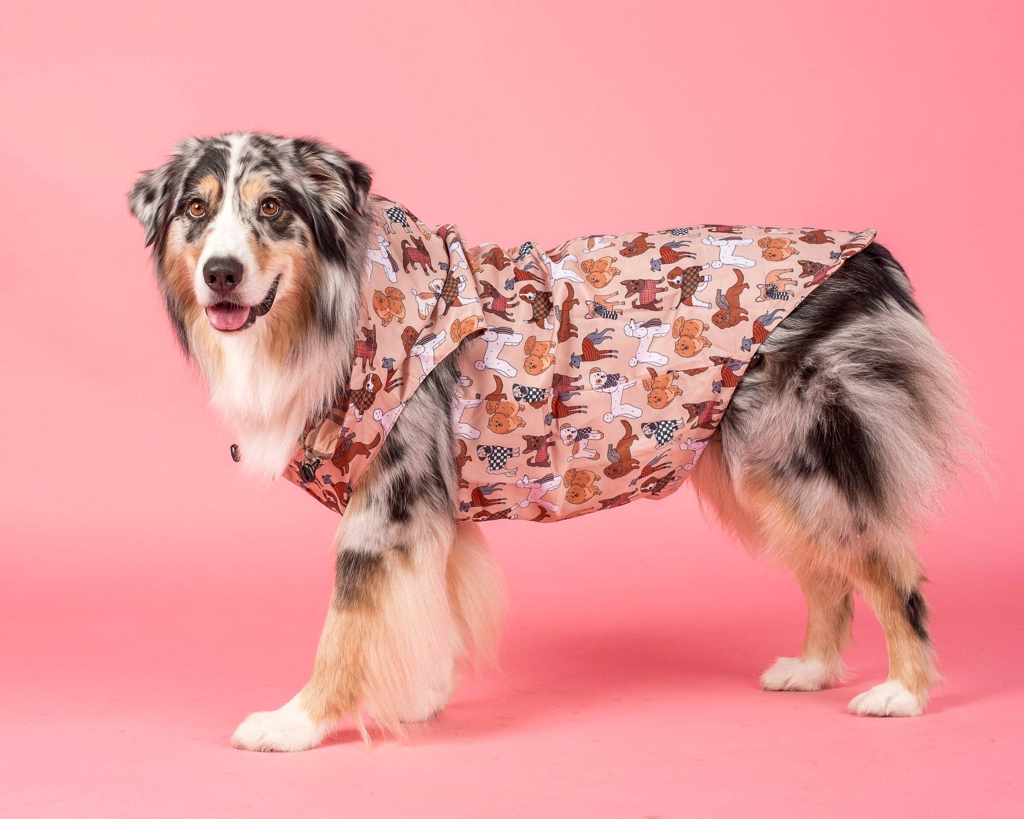 Pablo & Co. Boutique - Wholesale Pet raincoat – Dog - Winter Pooches / Kensington: Raincoat2
