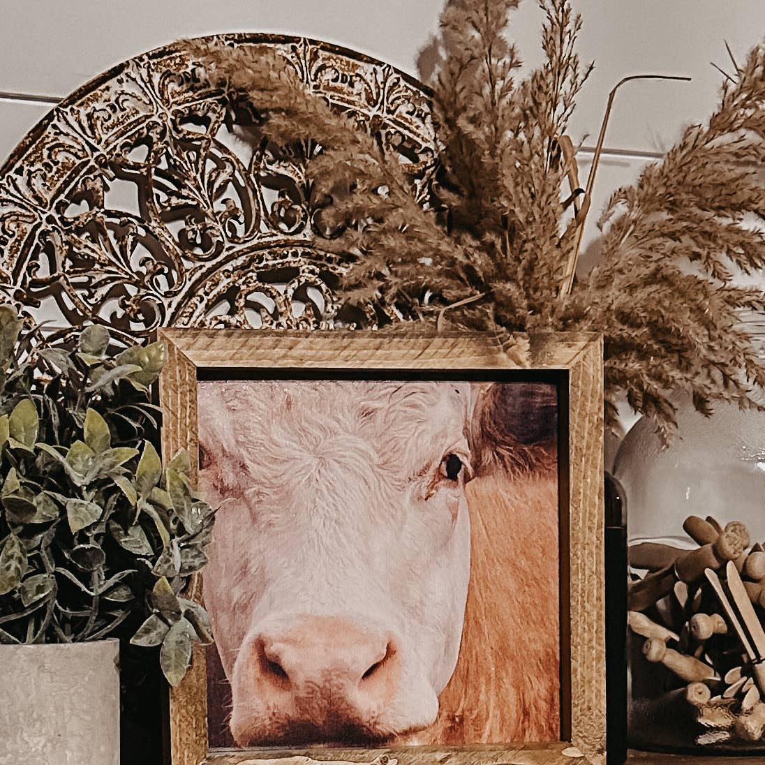 The Broken Board - Venta al por mayor Carteles de baño - Cartel de baño de vaca divertida7