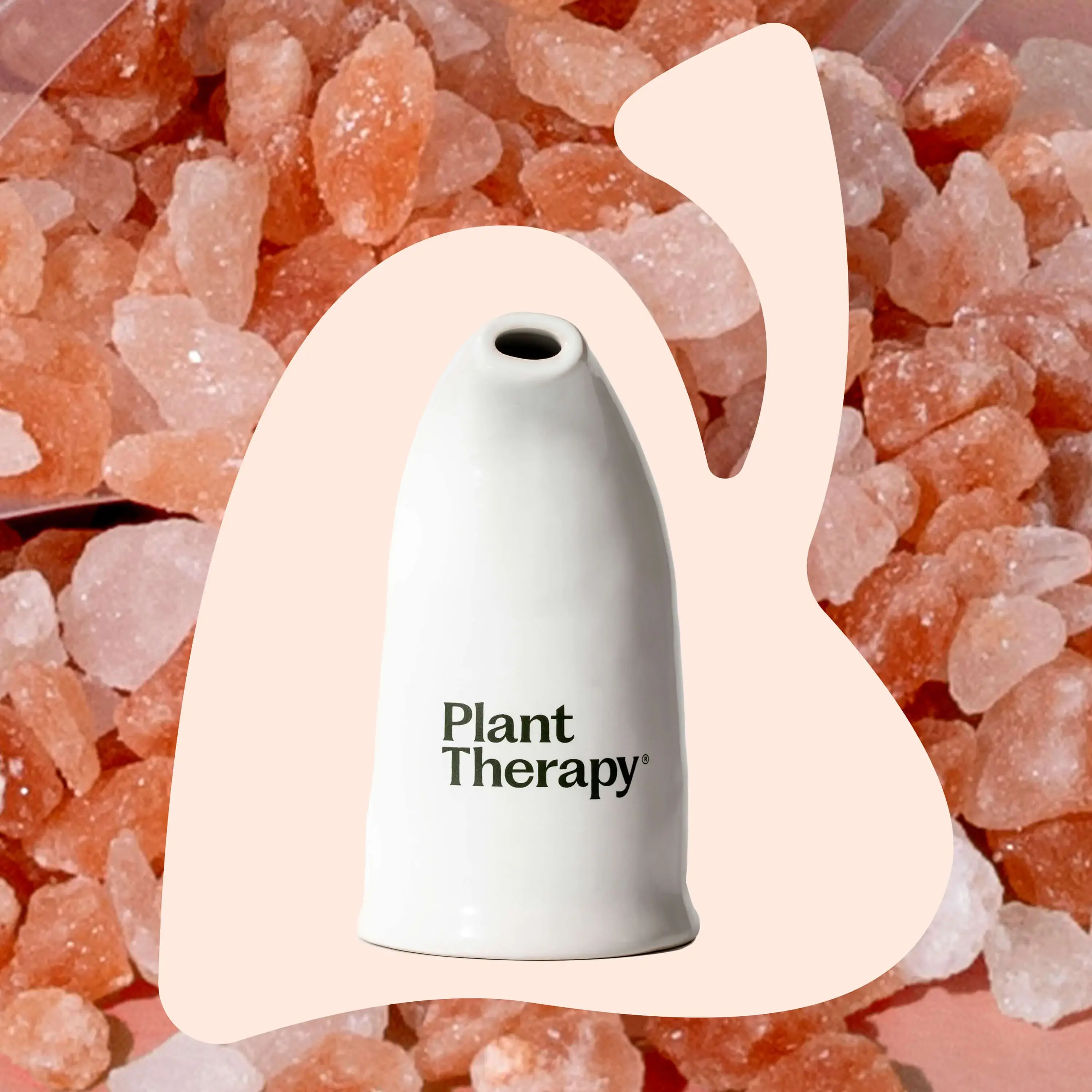 Plant Therapy - Vente Inhalateurs d'aromathérapie - Inhalateur de sel de l'Himalaya5