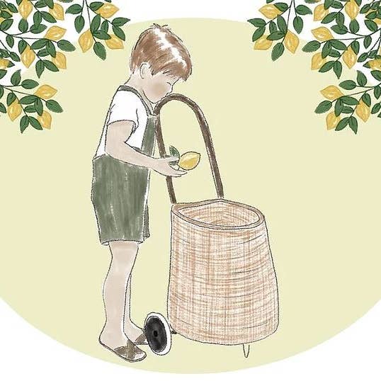 Pojke vykort med citroner för wholesale av LOÜVE illustrations