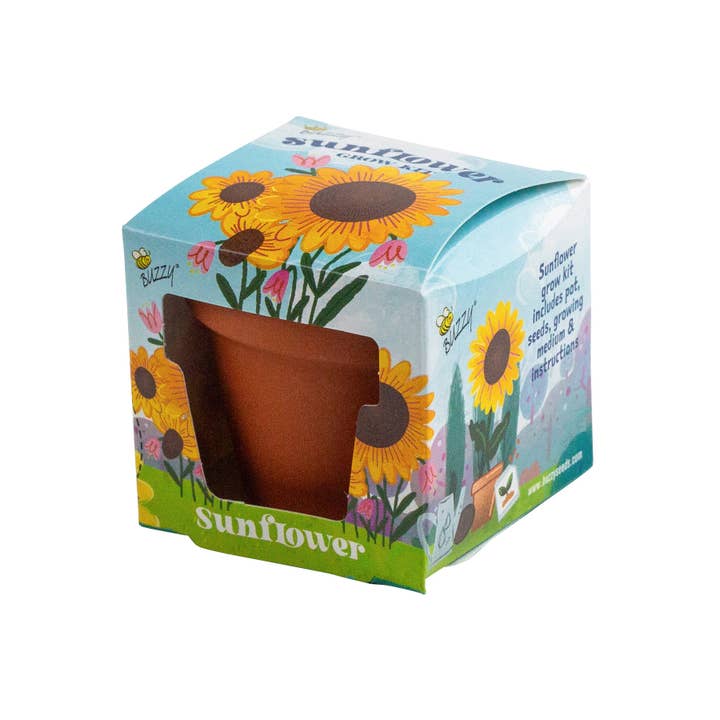 Buzzy, Inc. - Wholesale Plant Seeds - Buzzy Seeds Mini Terracotta Pot - Sunflower Grow Kit