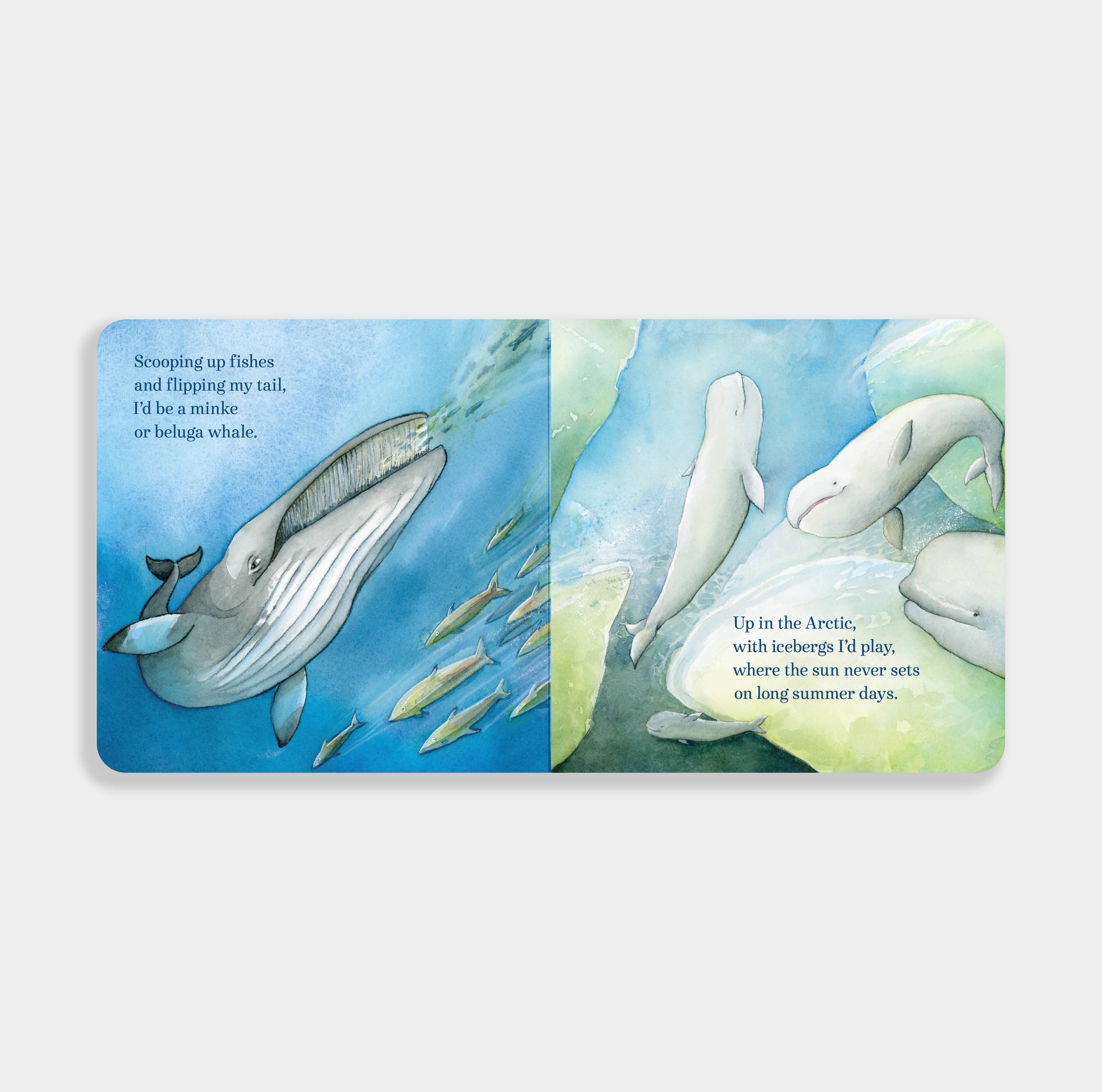 Blue Star Press - Wholesale Baby & Toddler Book (0-2) - If I Were a Whale: A Board Book for Toddlers Ages 1-31