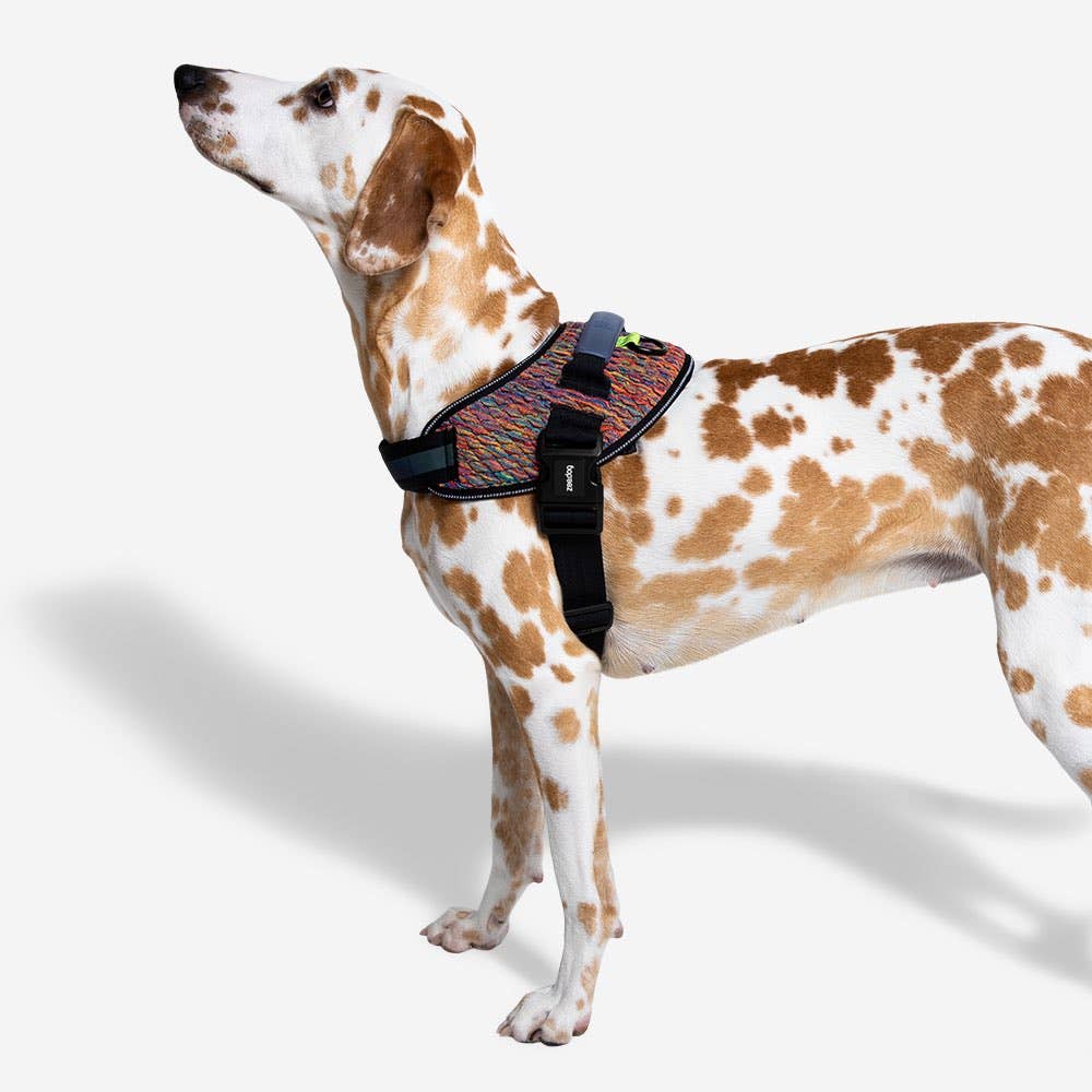 Zee.Dog - Wholesale Pet Harness - Dog - Vortex | FlyHarness4