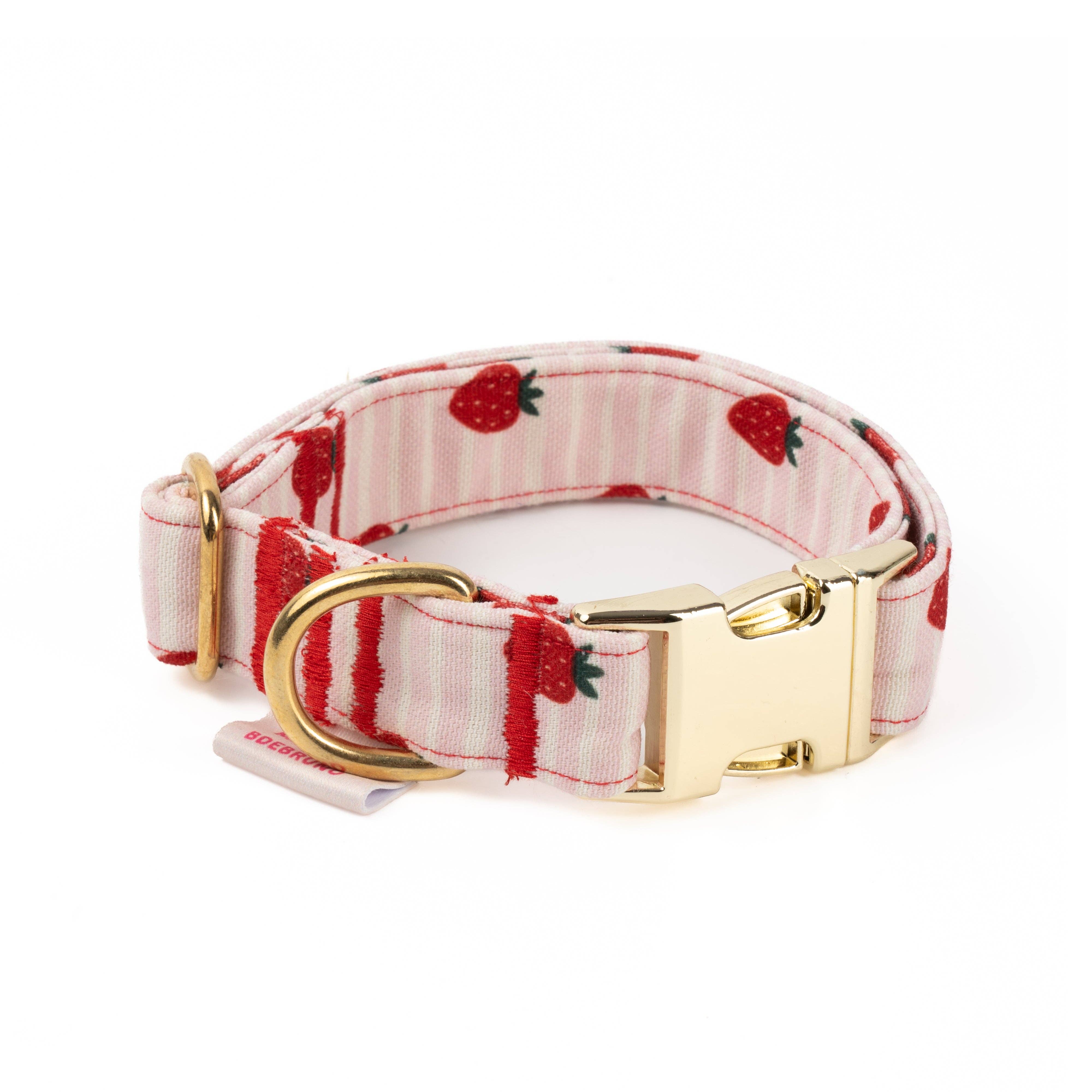B de Bruno - Wholesale Pet Collar - Dog - Collar Click Strawberry Vibes1