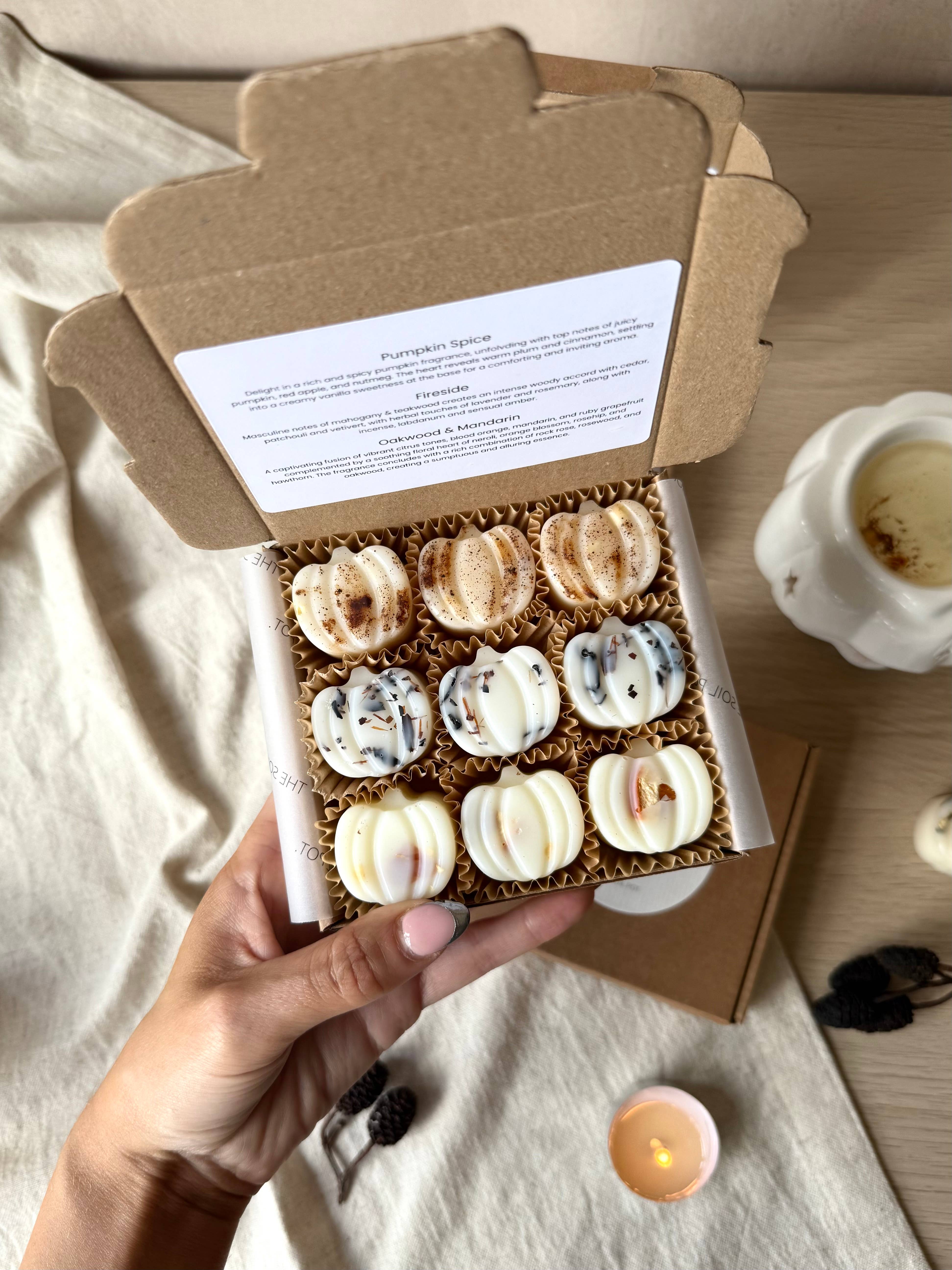 The Soil Pot – wholesale Wax melt – Pumpkin Wax Melts - autumn Wax Melts gift Box, Vegan0