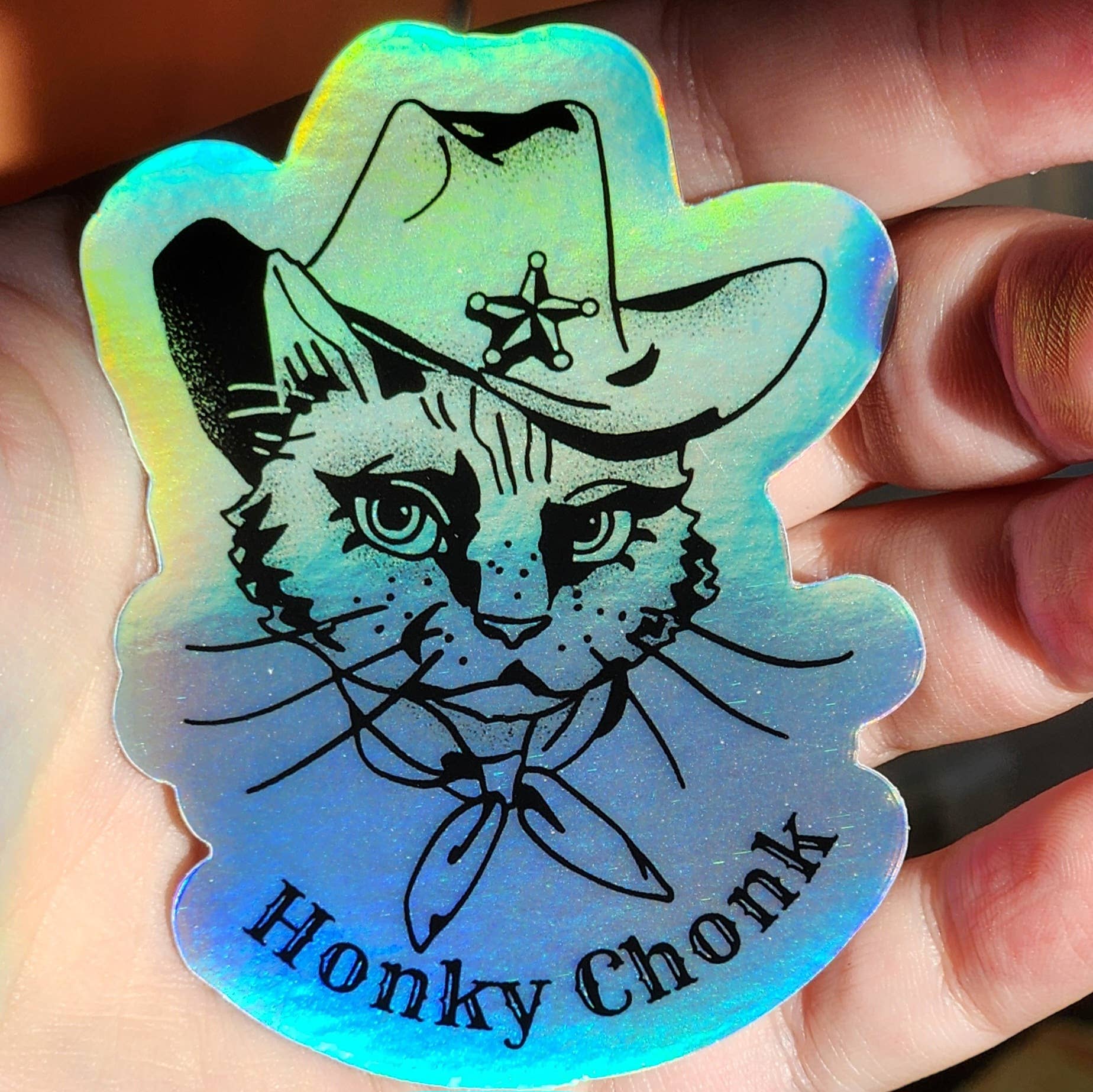 Luxe Trauma – Engroshandel Klistermærke – Honky Chonk kat cowboy vestlige mærkat hydrokolbe tidsskrift3