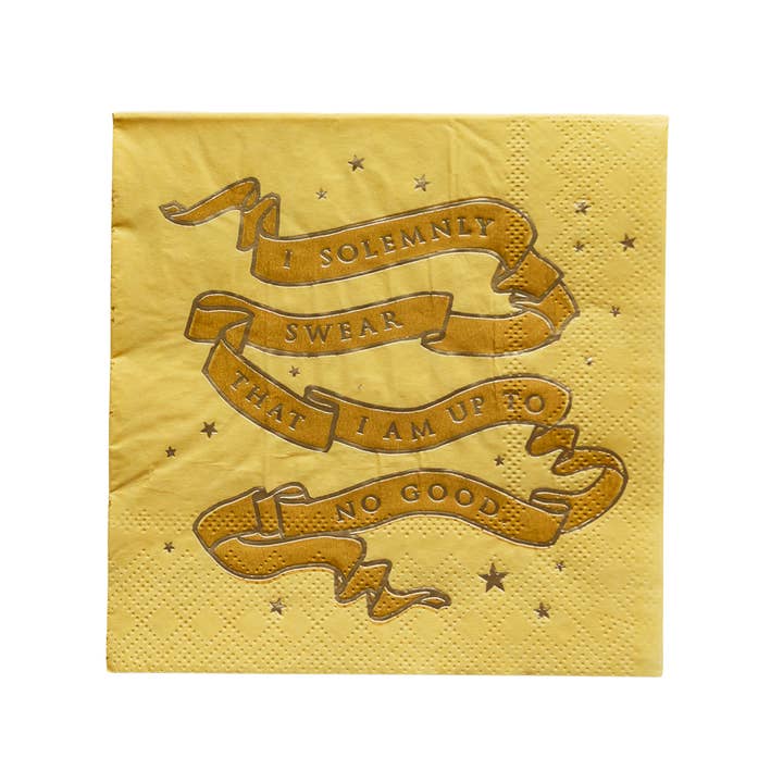 Bonjour Fête - Venta al por mayor Servilletas desechables - SERVILLETAS PARA FIESTAS PEQUEÑAS DE HARRY POTTER X BONJOUR FÊTE HOUSE PRIDE1