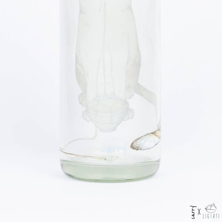 Carry Bottles - Wholesale Water Bottle - Glass water bottle - CARRY Bottle RAMEN CAT 0.7l7