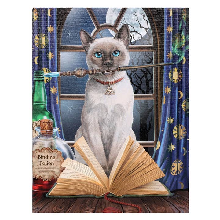 Hocus Pocus Canvas Print for wholesale by Pacific Trading
