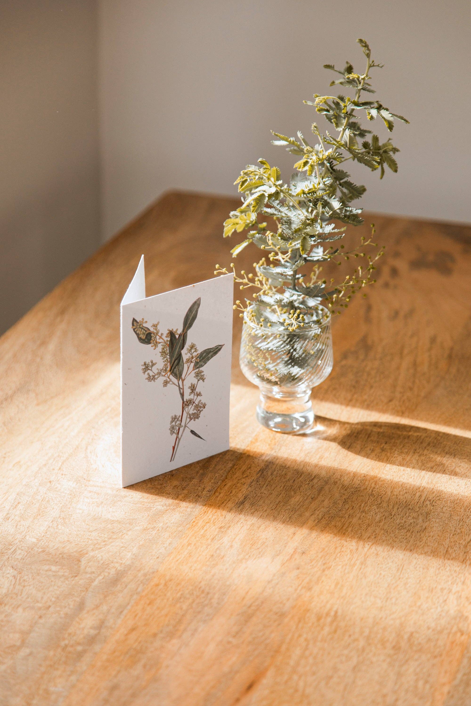 treasureinventory - Venta al por mayor Tarjetas de felicitación - Botánicos Australianos // Tarjetas Plantables // Paquete de 27 Tarjetas8