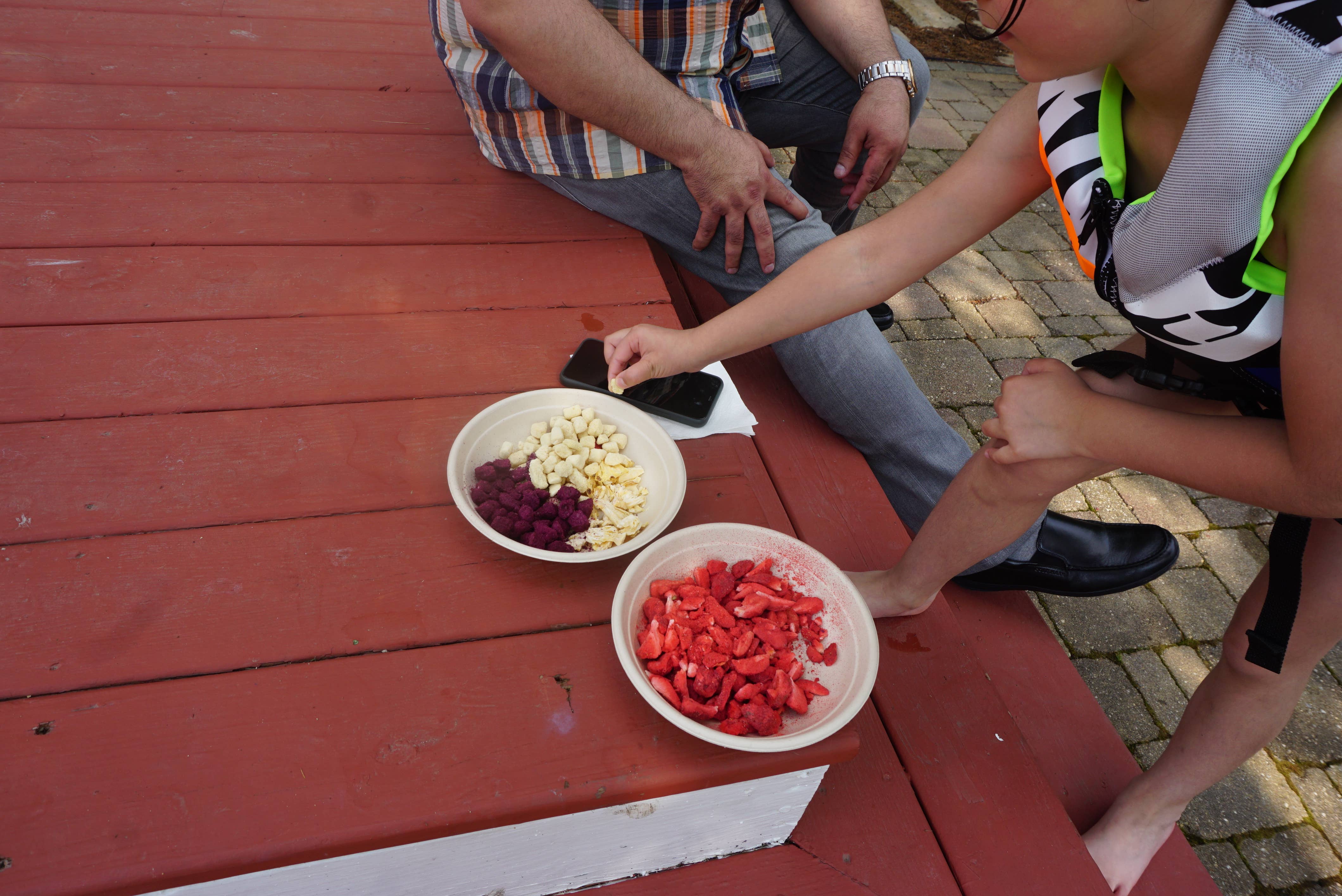 Indus Farms Superfoods - Wholesale Dried/Dehydrated Fruit - 100% Pure Freeze Dried White Guava, GMO-Free, Paleo, Vegan9