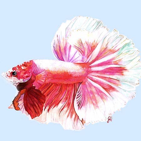 DOLLY ESTELLE - Wholesale Cutting Board - Charcuterie  Cutting Boards - Mix & Match38