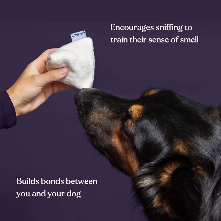 Longsock – wholesale Leksak - Hund – Doftträningskit för allt3