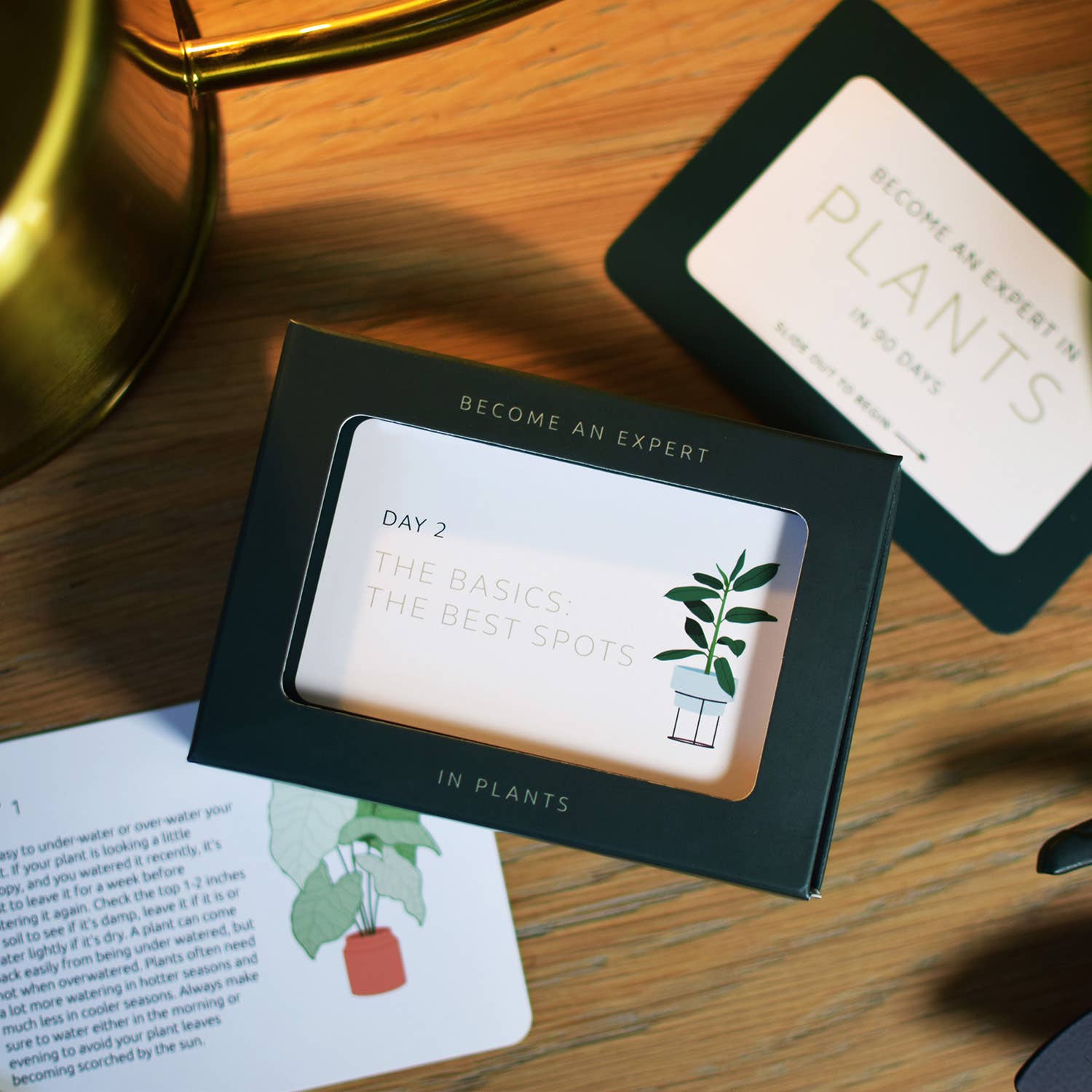 Pikkii – wholesale Plant seeds – Become an Expert in Plants in 90 Days Slide Box | Plant Gift7