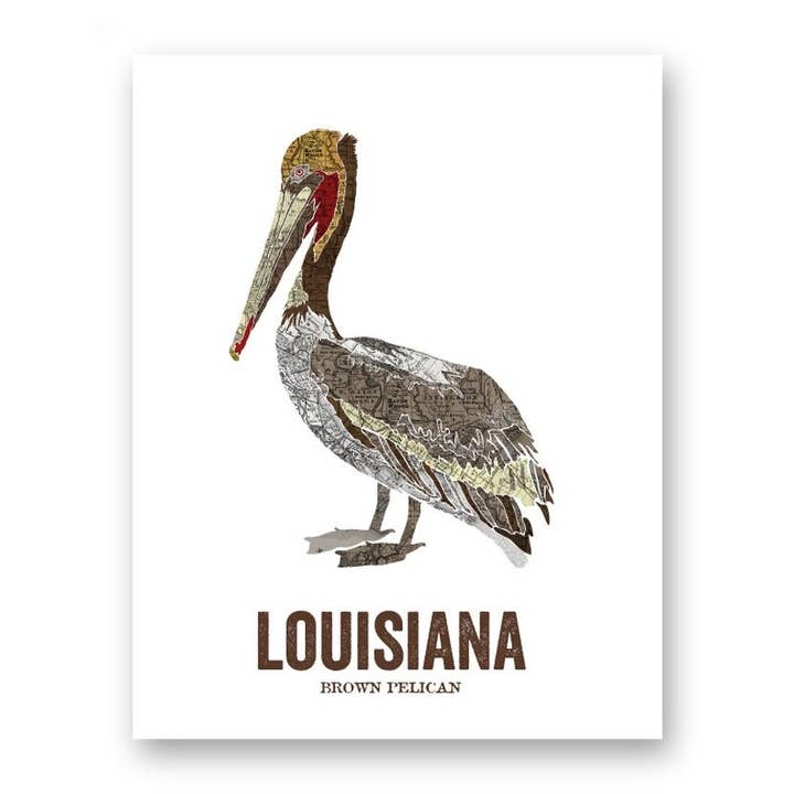 Louisiana State Bird Map Art - Brown Pelican for wholesale by Wooden Pencil Company